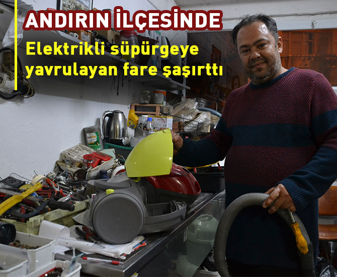 Elektrikli süpürgeye yavrulayan fare şaşırttı