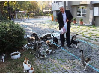 ’Kedi bölüğü’ sabah içtimasında