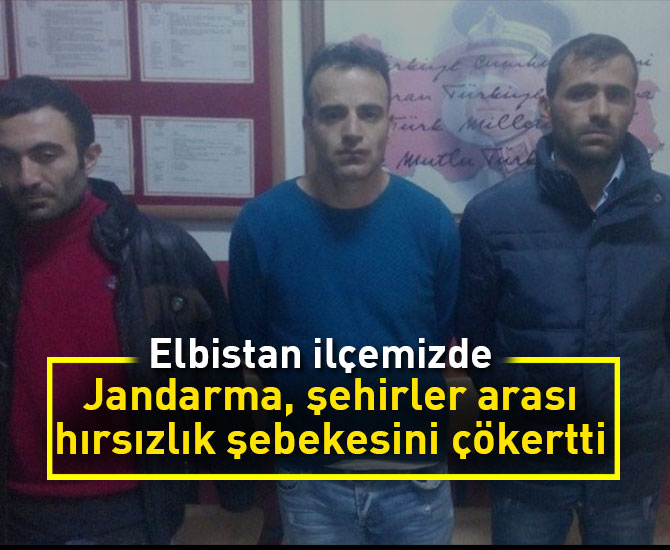 Jandarma, şehirler arası hırsızlık şebekesini çökertti