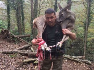 Yaralı karacayı 3 kilometre omuzunda taşıdı