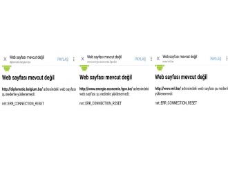 Belçika’nın resmi internet siteleri çökertildi