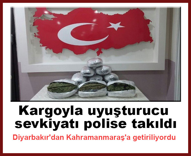 Kargoyla uyuşturucu sevkiyatı polise takıldı