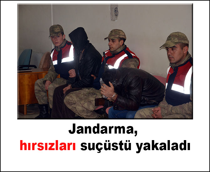 Jandarma, hırsızları suçüstü yakaladı