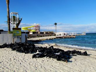 Turizm cenneti 2 ayda temizlenebilecek