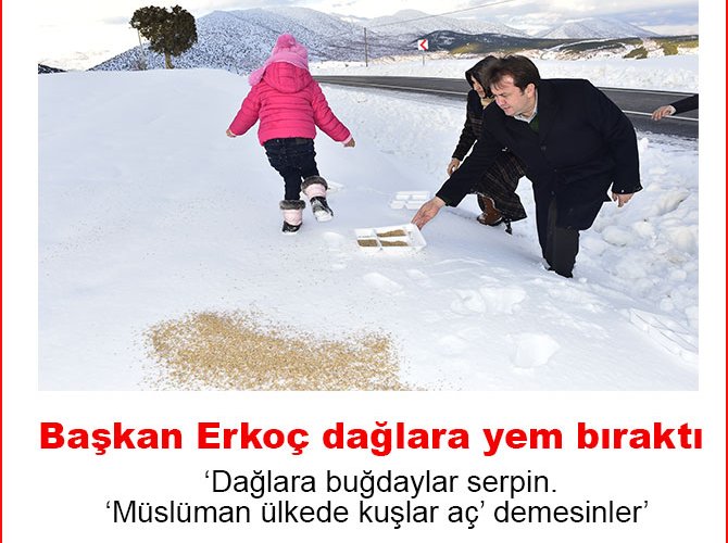 Başkan Erkoç dağlara yem bıraktı