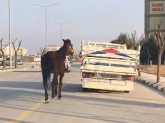 Bunun adı vicdansızlık!