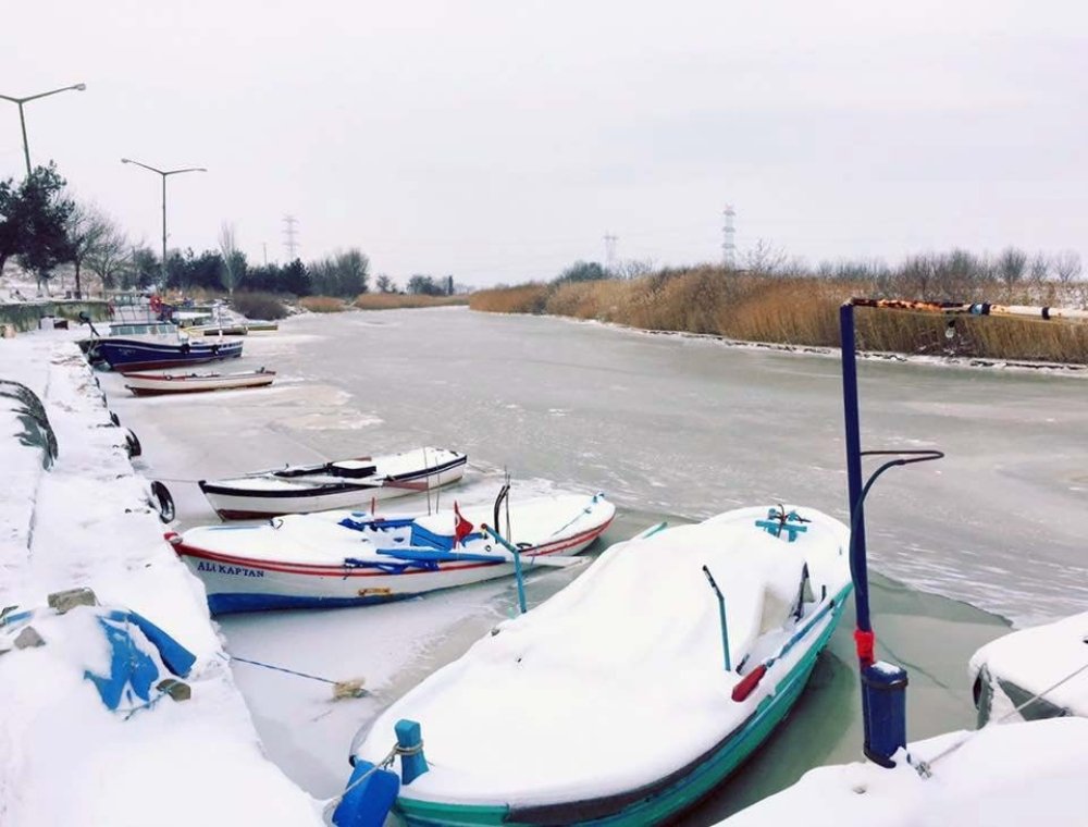 Çanakkale’de  çay, soğuk havanın etkisiyle dondu