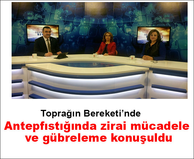 Antepfıstığında zirai mücadele ve gübreleme konuşuldu