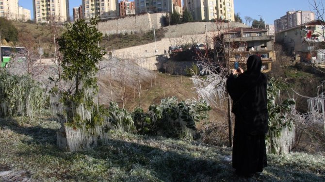 Buz tutan yeşil alandan muhteşem görüntüler