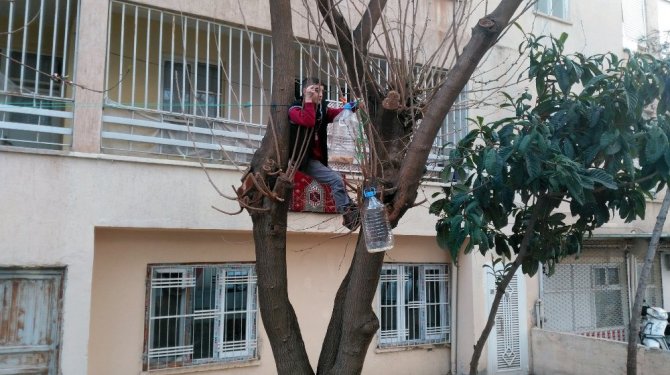 9 yaşındaki bir çocuk kuru ekmeklerle kuşları besliyor