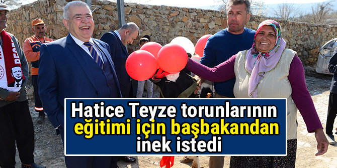 Hatice Teyze torunlarının eğitimi için başbakandan inek istedi