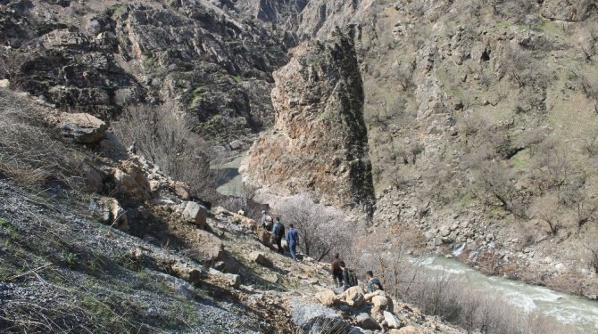 Pancar toplamak için hayatlarını riske atıyorlar