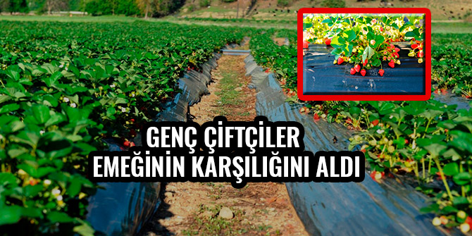 GENÇ ÇİFTÇİLER EMEĞİNİN KARŞILIĞINI ALDI