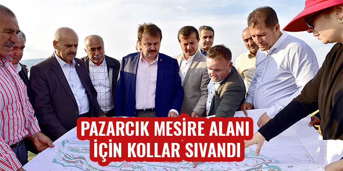 PAZARCIK MESİRE ALANI İÇİN KOLLAR SIVANDI