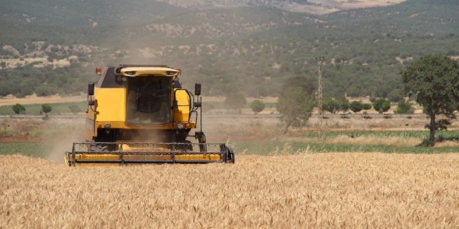 KAHRAMANMARAŞ’TA BUĞDAY HASADI BAŞLADI