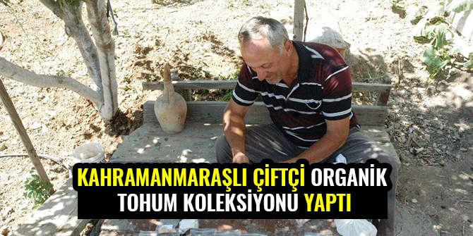 KAHRAMANMARAŞLI ÇİFTÇİ ORGANİK TOHUM KOLEKSİYONU YAPTI