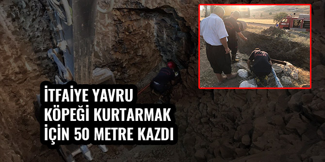 İTFAİYE YAVRU KÖPEĞİ KURTARMAK İÇİN 50 METRE KAZDI