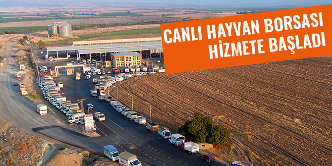 CANLI HAYVAN BORSASI HİZMETE BAŞLADI