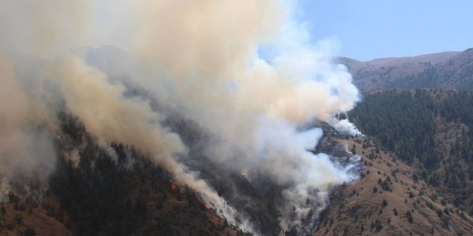 ERZURUM’DA ORMAN YANGINI: 20 HEKTAR ALAN KÜL OLDU