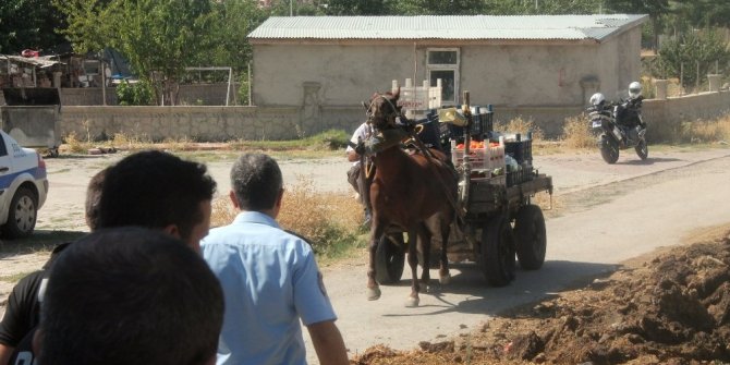 HEM KENDİSİ, HEM BOĞASI ASABİ ÇIKTI