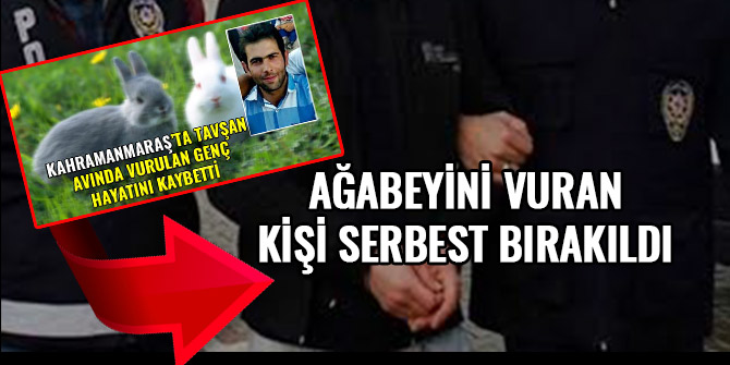 "FAR AVI"NDA AĞABEYİNİ VURAN KİŞİ SERBEST BIRAKILDI