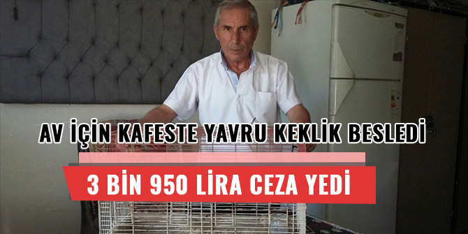 AV İÇİN KAFESTE YAVRU KEKLİK BESLEDİ, 3 BİN 950 LİRA CEZA YEDİ