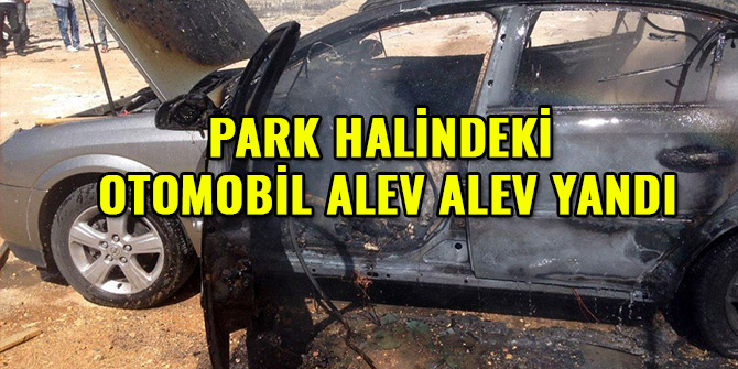 PARK HALİNDEKİ OTOMOBİL ALEV ALEV YANDI