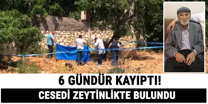 6 GÜNDÜR KAYIP OLAN YAŞLI ADAMIN CESEDİ ZEYTİNLİKTE BULUNDU