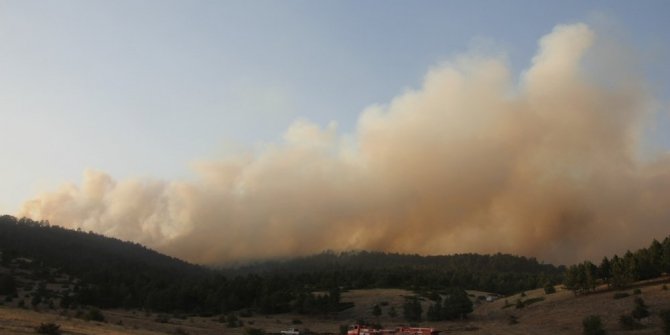 DOMANİÇ’TE ÇIKAN ORMAN YANGINI BİLECİK SINIRINA ULAŞTI