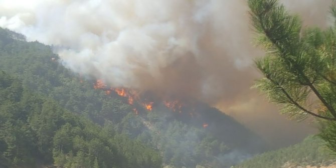 11 AYRI NOKTA YANIYOR