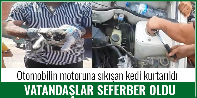 OTOMOBİLİN MOTORUNA SIKIŞAN YAVRU KEDİ İÇİN VATANDAŞLAR SEFERBER OLDU