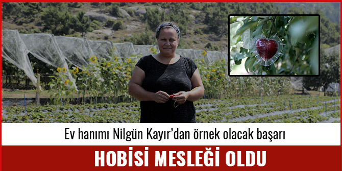 HOBİSİ MESLEĞİ OLDU