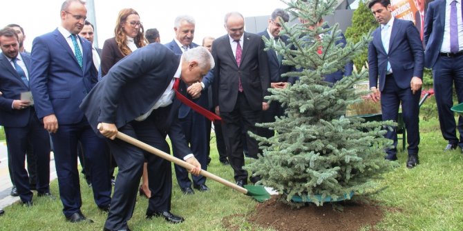 BAŞBAKAN YILDIRIM FİDAN DİKTİ