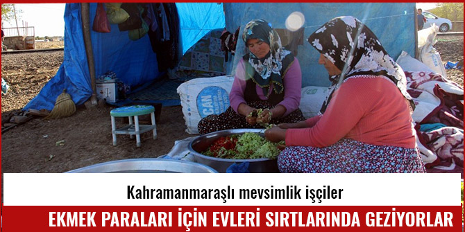 EKMEK PARALARI İÇİN EVLERİ SIRTLARINDA GEZİYORLAR