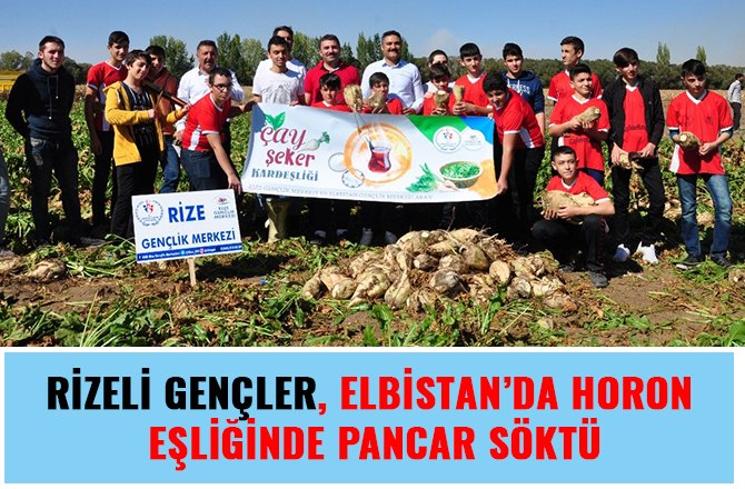 RİZELİ GENÇLER, ELBİSTAN’DA HORON EŞLİĞİNDE PANCAR SÖKTÜ