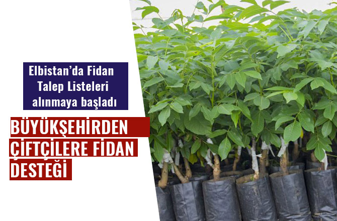 BÜYÜKŞEHİRDEN ÇİFTÇİLERE FİDAN DESTEĞİ