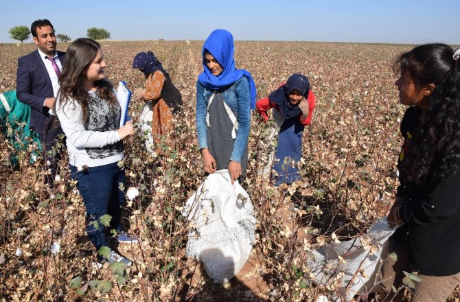 ÖĞRETMENLER BİZZAT TARLALARDAN ALIP OKULLU YAPIYOR