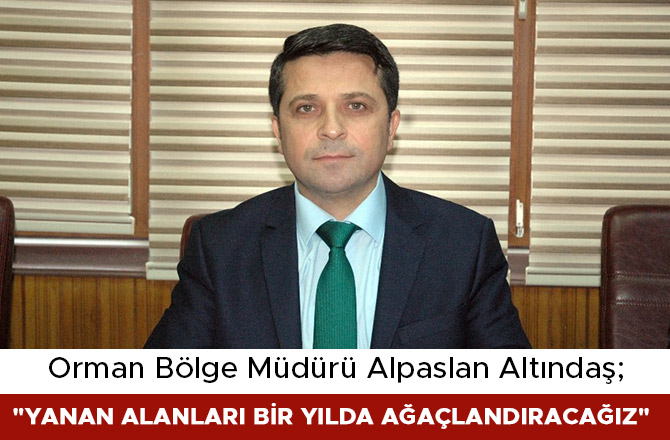 ALTINDAŞ: "YANAN ALANLARI BİR YILDA AĞAÇLANDIRACAĞIZ"