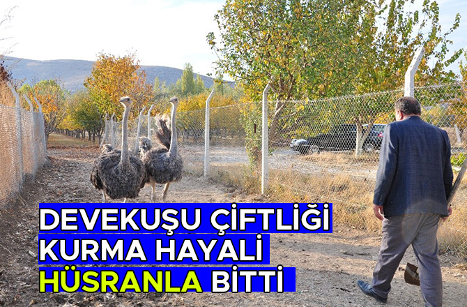 DEVEKUŞU ÇİFTLİĞİ KURMA HAYALİ HÜSRANLA BİTTİ