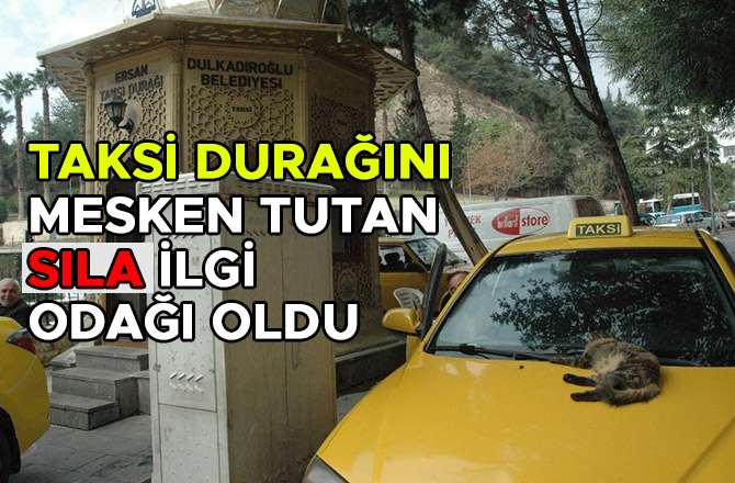 TAKSİ DURAĞINI MESKEN TUTAN SILA İLGİ ODAĞI OLDU