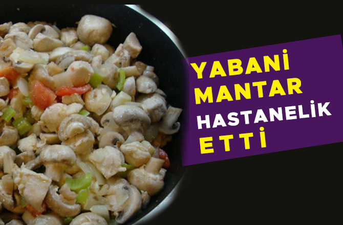 YABANİ MANTAR HASTANELİK ETTİ