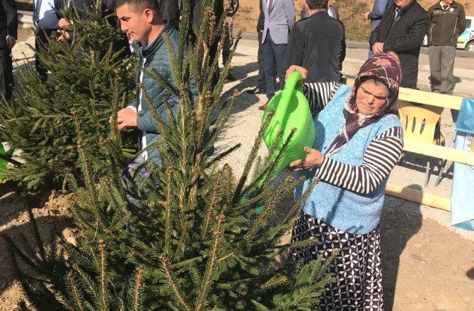 ŞEHİT EREN BÜLBÜL’ÜN ANISINA HATIRA ORMANI OLUŞTURULDU