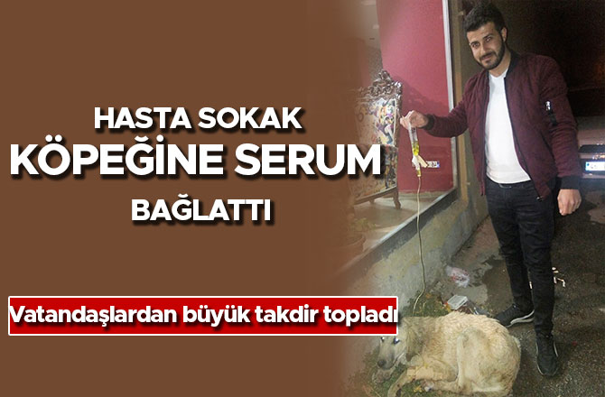 HASTA SOKAK KÖPEĞİNE SERUM BAĞLATTI