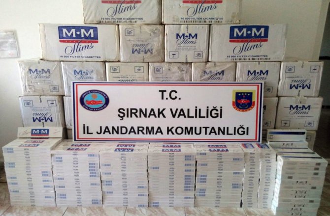 20 BİN 500 PAKET YAKALANDI