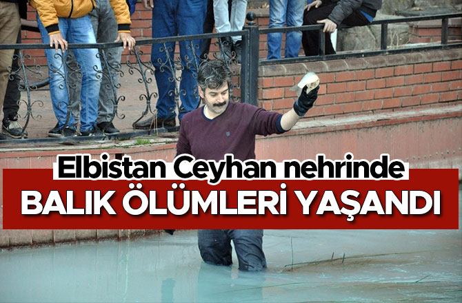 CEYHAN NEHRİ’NDE TOPLU BALIK ÖLÜMLERİ YAŞANDI