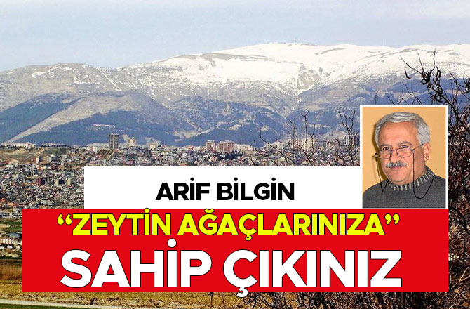 ARİF BİLGİN “ZEYTİN AĞAÇLARINIZA” SAHİP ÇIKINIZ