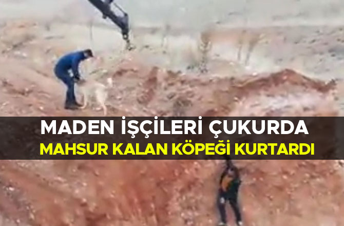 MADEN İŞÇİLERİ ÇUKURDA MAHSUR KALAN KÖPEĞİ KURTARDI