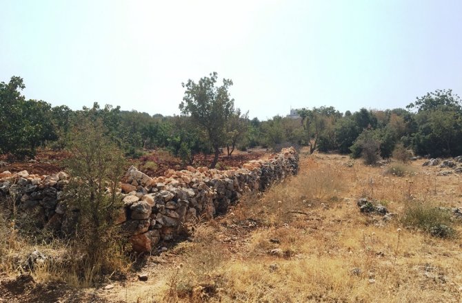 PAZARCIK’TA ÇATAK PROJESİ UYGULANMAYA HIZLA DEVAM EDİYOR