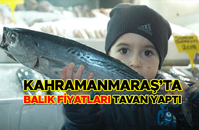 KAHRAMANMARAŞ’TA BALIK FİYATLARI TAVAN YAPTI