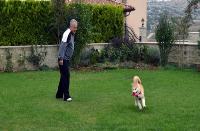 İŞTE MUTLU OLMANIN YOLLARI